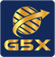 GSX